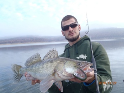 Първите бели през новата зима